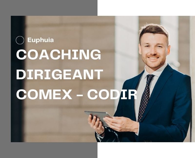 coaching entreprise & Coaching Dirigeant Comex Codir