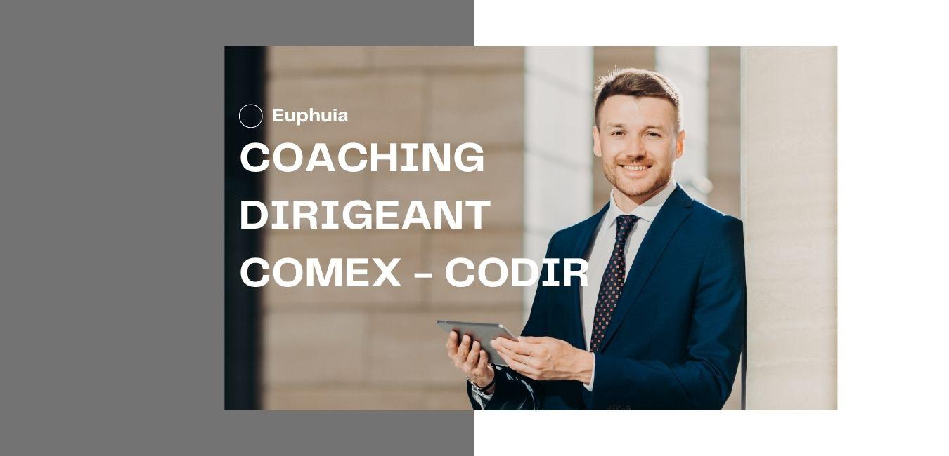 Coaching Entreprise : Coaching stratégique pour Comex & Codir