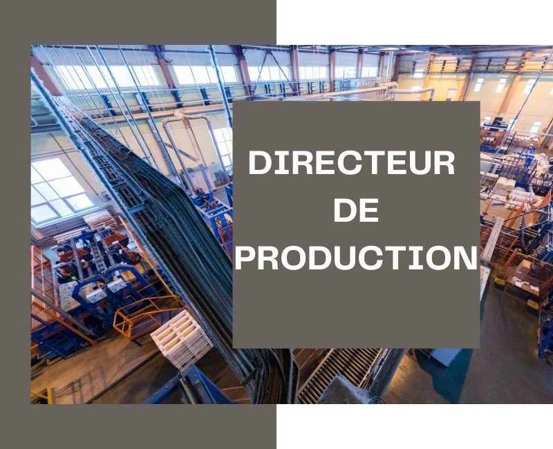 Cabinet de recrutement Nantes Paris Bordeaux : Directeur de production