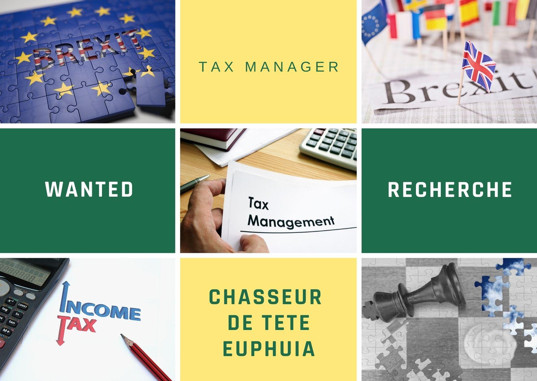 Tax Manager : Wanted par Chasseur de Tete Euphuia